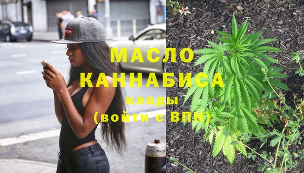 гидра Верхний Тагил