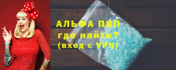 гидра Верхний Тагил