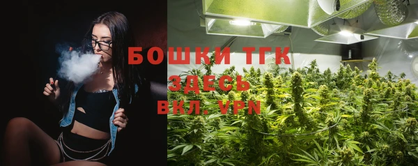 гидра Верхний Тагил