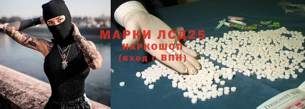 гидра Верхний Тагил